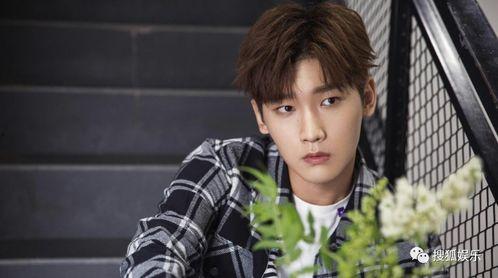 娱乐大爆料配音演员表名单,揭秘配音演员阵容,声临其境的幕后英雄 第2张 娱乐大爆料配音演员表名单,揭秘配音演员阵容,声临其境的幕后英雄 第2张