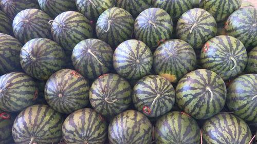 徐州吃瓜网红有哪些人啊,徐州网红吃瓜达人盘点 第2张 徐州吃瓜网红有哪些人啊,徐州网红吃瓜达人盘点 第2张