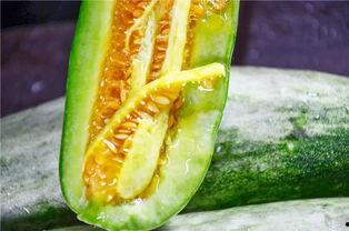 网红吃瓜网站叫什么,揭秘娱乐圈幕后真相 第3张 网红吃瓜网站叫什么,揭秘娱乐圈幕后真相 第3张