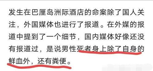 凶杀案爆料范文最新章节,凶杀案爆料最新章节揭秘